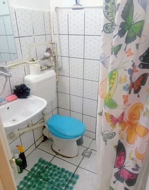 Proprietar închiriez garsonieră in Dacia - imagine 5