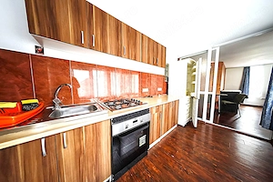 Apartament Piata Unirii - imagine 8