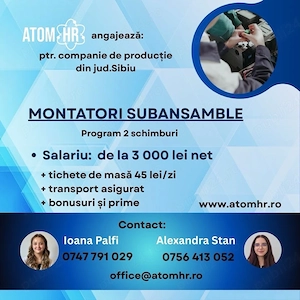 Atom HR angajează montatori subansamble