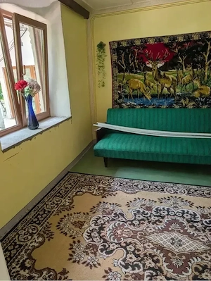 Casa cu livada si teren 1.947 mp teren, langa Husi - imagine 5
