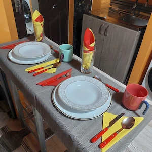 Zona Buziasului(Kaufland ) - imagine 9