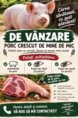 Carcasa porc 