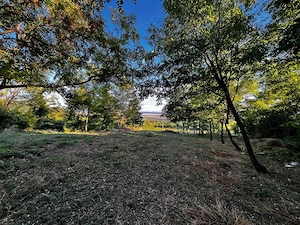 Teren Intravilan 7.593 mp | Pietroasa Mică, Buzău   Panoramă Spectaculoasă, Pădure în Spate & Potenț - imagine 4