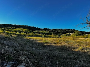 Teren Intravilan 7.593 mp | Pietroasa Mică, Buzău   Panoramă Spectaculoasă, Pădure în Spate & Potenț