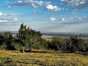 Teren Intravilan 7.593 mp | Pietroasa Mică, Buzău   Panoramă Spectaculoasă, Pădure în Spate & Potenț - imagine 2