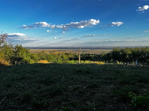 Teren Intravilan 7.593 mp | Pietroasa Mică, Buzău   Panoramă Spectaculoasă, Pădure în Spate & Potenț