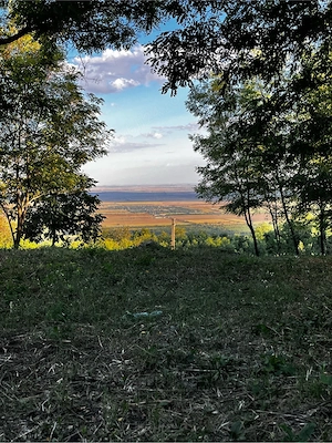 Teren Intravilan 7.593 mp | Pietroasa Mică, Buzău   Panoramă Spectaculoasă, Pădure în Spate & Potenț - imagine 7
