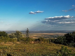 Teren Intravilan 7.593 mp | Pietroasa Mică, Buzău   Panoramă Spectaculoasă, Pădure în Spate & Potenț - imagine 3