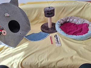 Articolele   accesorii pentru pisici, ansamblu de joaca, casuta pliabila, zgarda cu clopotei, culcus
