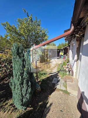 Casa de vânzare 4 camere 409mp Ronat - imagine 5