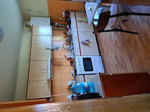 Vand casa-vila in regim de inaltime D+P+M pe  900 mp teren cu pomi fructiferi si vita de vie. - imagine 4