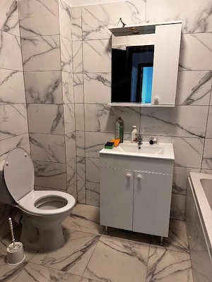 Studio de inchiriat - zona Pallady - imagine 3