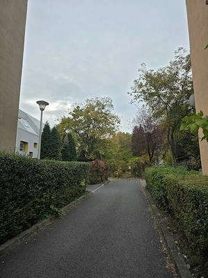 Teren cu S.3710mp, Manastur, str.Meziad, Cluj Napoca - imagine 3