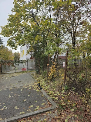 Teren cu S.3710mp, Manastur, str.Meziad, Cluj Napoca - imagine 6