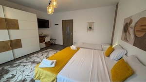 Inchiriez Regim Hotelier Buzias 170 Ron  Noapte - imagine 2