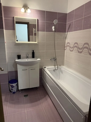 Apartament 2 camere de inchiriat-Parcul Teilor, sector 3 - imagine 4