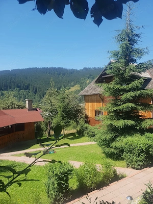 Vând proprietate în Vatra Dornei  - imagine 9