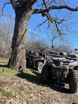 ATV cfmoto 450 s - imagine 5