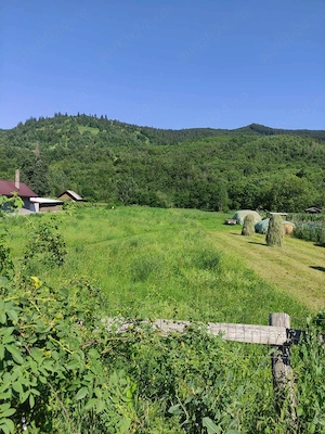 Teren de vanzare, intravilan, 1502 mp, Sat Straja Comuna Tarcau - imagine 6