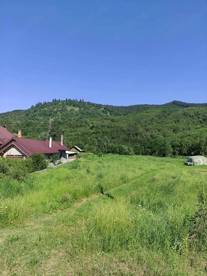 Teren de vanzare, intravilan, 1502 mp, Sat Straja Comuna Tarcau - imagine 7