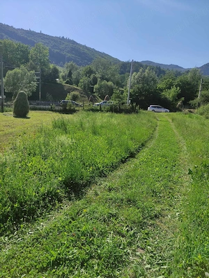 Teren de vanzare, intravilan, 1502 mp, Sat Straja Comuna Tarcau - imagine 8