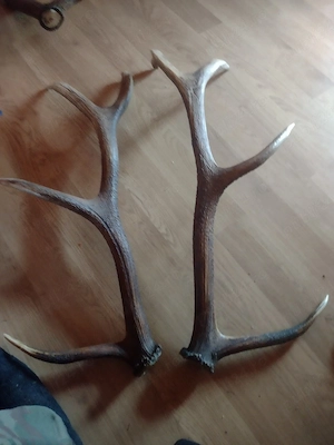 vand Pereche COARNE 4raze
