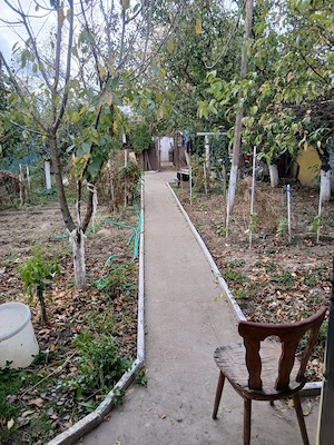CASA DE VANZARE JUPA - imagine 6
