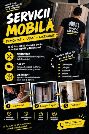 Demontat-Manipulat-Distribuit