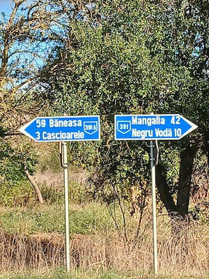 vand casa din piatra(96 ani) 42km de Mangalia