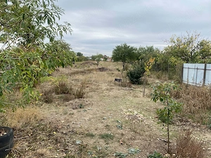 Casă cu teren în Biharia - imagine 3