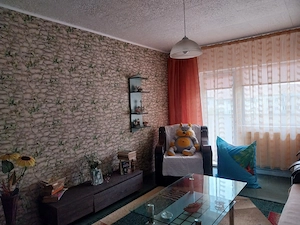 Vand apartament 3 camere in Tandarei 55.000  usor negociabil - imagine 5