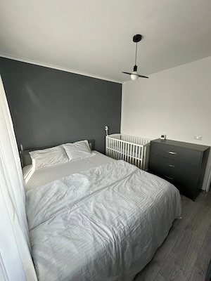Apartament cu 3 camere decomandat Sagului - imagine 4