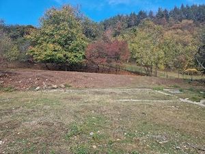 Casă tradițională cu livadă și vedere panoramică   Atia, lângă Sovata | 2.054 mp teren intravilan - imagine 9