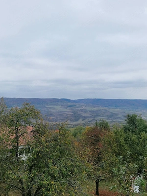 Casă tradițională cu livadă și vedere panoramică   Atia, lângă Sovata | 2.054 mp teren intravilan - imagine 5