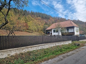 Casă tradițională cu livadă și vedere panoramică   Atia, lângă Sovata | 2.054 mp teren intravilan - imagine 3