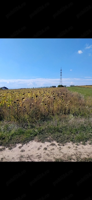 Vând teren intravilan Suceava 3100 mp zona Tarinca - Burdujeni Sat - imagine 4