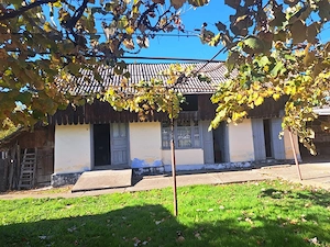 Casă de vânzare în Dolhestii Mari.
