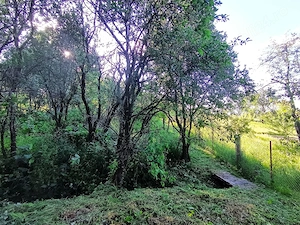 Teren Intravilant cu panorama ,Gheorghieni 4 km de Borhanci,jud Cluj - imagine 10