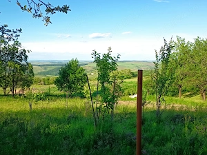 Teren Intravilant cu panorama ,Gheorghieni 4 km de Borhanci,jud Cluj - imagine 3
