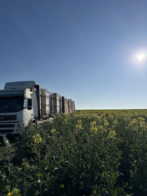 VOLVO FM9 2004 BDF   camion omologat apicol - imagine 2