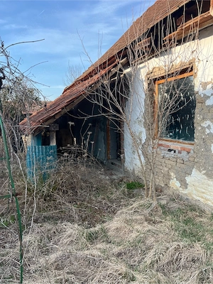 Proprietate de vânzare   Ferendia, județul Timiș - imagine 5