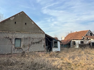 Proprietate de vânzare   Ferendia, județul Timiș