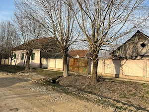 Proprietate de vânzare   Ferendia, județul Timiș - imagine 2