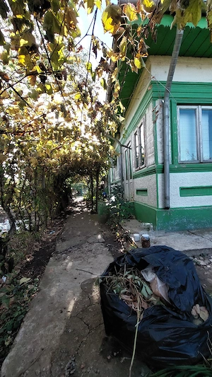Gospodărie la țară cu DUBLU ACCES (față spate): casă 4 camere, baie, fosă, anexe cărămidă   Galbenu, - imagine 3
