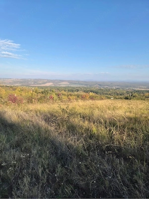 Teren intravilan 13.500 mp | Valea Călugărească   Zona Vârfuri | Utilități disponibile - imagine 3