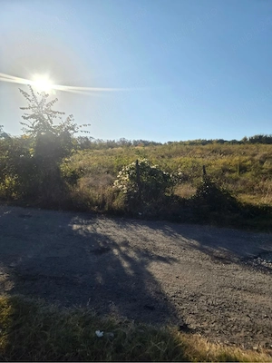Teren intravilan 13.500 mp | Valea Călugărească   Zona Vârfuri | Utilități disponibile - imagine 5