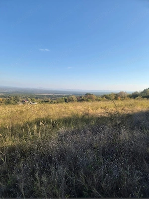 Teren intravilan 13.500 mp | Valea Călugărească   Zona Vârfuri | Utilități disponibile - imagine 2