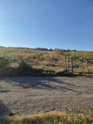 Teren intravilan 13.500 mp | Valea Călugărească   Zona Vârfuri | Utilități disponibile - imagine 4