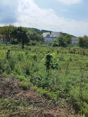 Proiect cabana cu teren 1000 mp in Muntii Poiana Rusca   Surduc - imagine 7