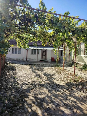Casa de vanzare Beriu, jud. Hunedoara - imagine 2